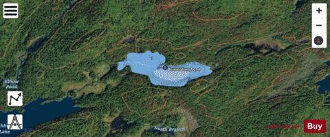 Beaverdam Pond depth contour Map - i-Boating App - Satellite