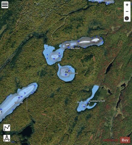 Diana Pond depth contour Map - i-Boating App - Satellite