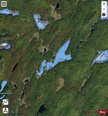 Dismal Pond depth contour Map - i-Boating App - Satellite