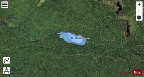 Little Salmon Lake depth contour Map - i-Boating App - Satellite
