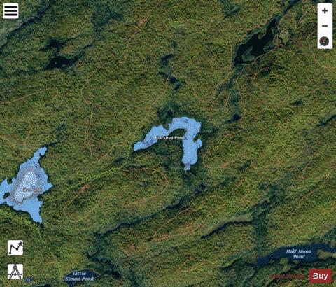 Blackfoot Pond depth contour Map - i-Boating App - Satellite