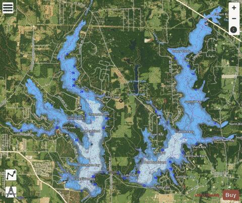 Lake Tyler depth contour Map - i-Boating App - Satellite