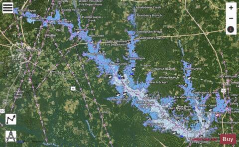 Sam Raryburn Reservoir depth contour Map - i-Boating App - Satellite