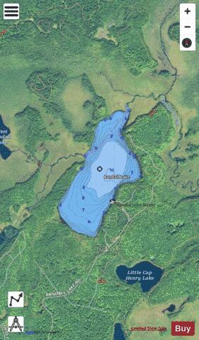 Randall Lake depth contour Map - i-Boating App - Satellite