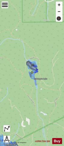 Crabapple Lake depth contour Map - i-Boating App - Streets