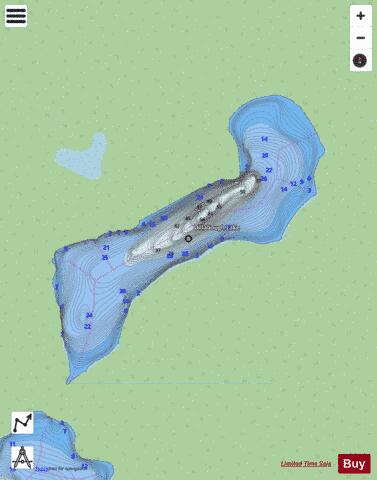 Dillabough Lake depth contour Map - i-Boating App - Streets