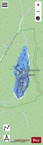 Gwyneth Lake depth contour Map - i-Boating App - Streets