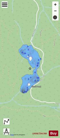 Lizard Pond depth contour Map - i-Boating App - Streets