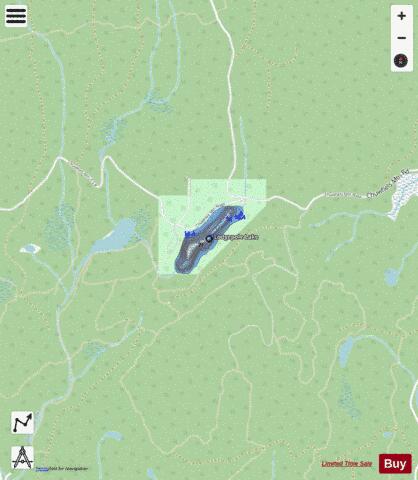 Lodgepole Lake depth contour Map - i-Boating App - Streets