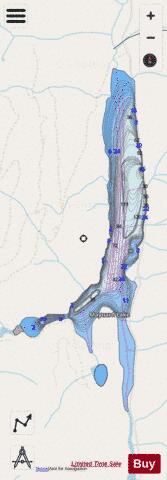 Maynard Lake depth contour Map - i-Boating App - Streets