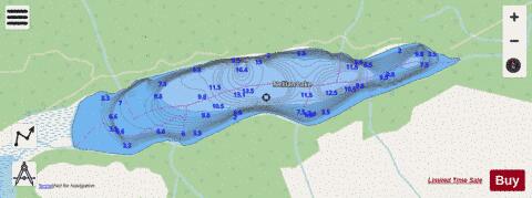 Nellian Lake depth contour Map - i-Boating App - Streets