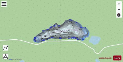 Sneezie Lake depth contour Map - i-Boating App - Streets