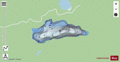 Willow Lake depth contour Map - i-Boating App - Streets