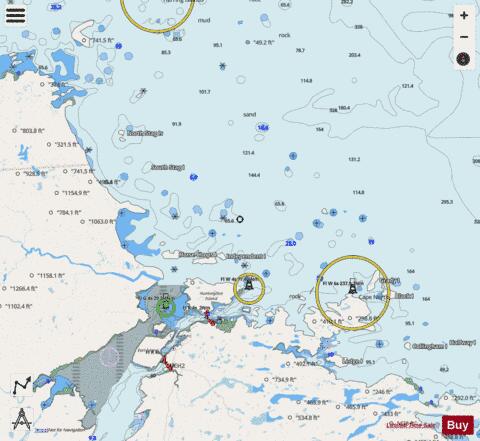 Approaches to Cartwright, Black Island to Tumbledown Dick Island Marine Chart - Nautical Charts App - Streets