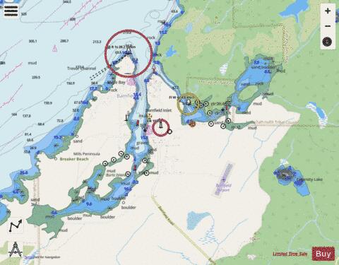 BAMFIELD INLET Marine Chart - Nautical Charts App - Streets