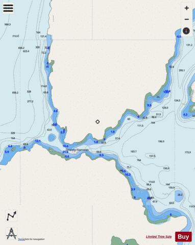 Draney Narrows Marine Chart - Nautical Charts App - Streets