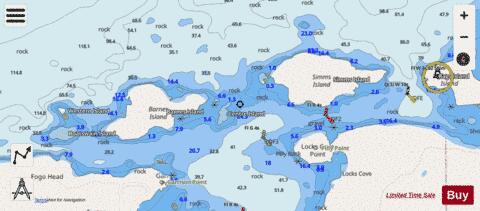 Entrances to / Entr\xE9es \xE0 Fogo Harbour Marine Chart - Nautical Charts App - Streets