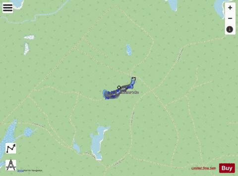 Lake No 56 (Wiener Lake) depth contour Map - i-Boating App - Streets