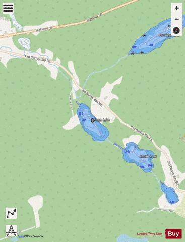 Zelneys Lake depth contour Map - i-Boating App - Streets