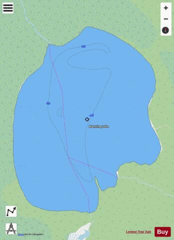 Manning Lake depth contour Map - i-Boating App - Streets