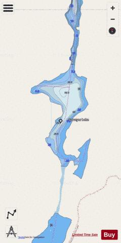 Surveyor Lake depth contour Map - i-Boating App - Streets