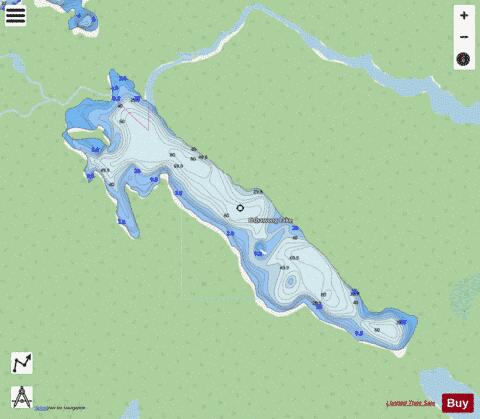 Oshawong Lake depth contour Map - i-Boating App - Streets