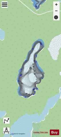 Coyne Lake depth contour Map - i-Boating App - Streets