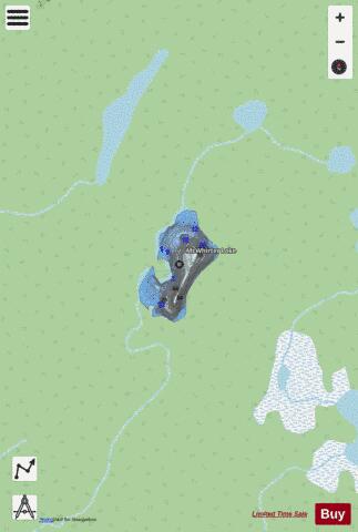 Mcwhirter Lake / Stoney Lake depth contour Map - i-Boating App - Streets