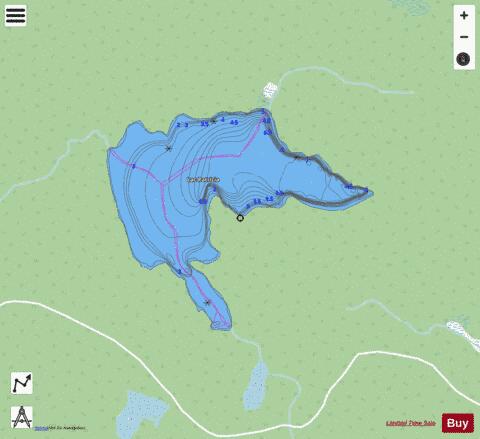 Patricia, Lac depth contour Map - i-Boating App - Streets