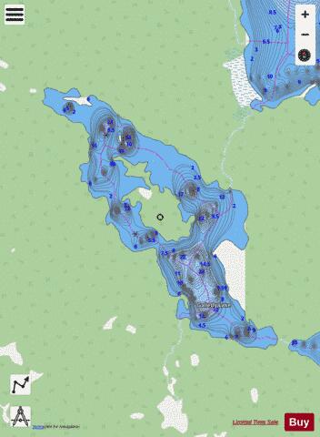 Galletly Lake depth contour Map - i-Boating App - Streets