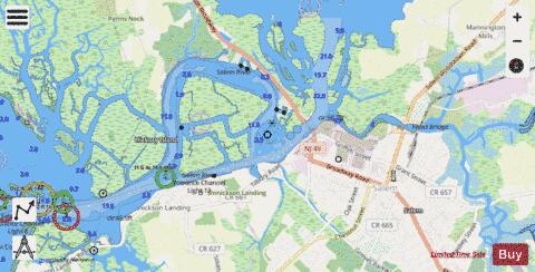 CHESAPEAKE and DELAWARE CANAL SALEM RIVER EXTENSION Marine Chart - Nautical Charts App - Streets