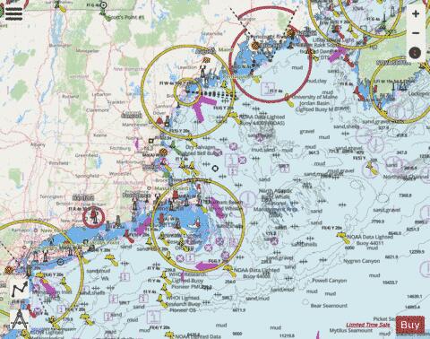 WEST QUODDY HEAD TO NEW YORK-EAST COAST Marine Chart - Nautical Charts App - Streets