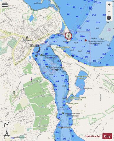 EDGARTOWN HARBOR  MA Marine Chart - Nautical Charts App - Streets