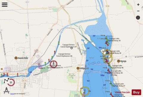 CAYUGA LAKE Marine Chart - Nautical Charts App - Streets