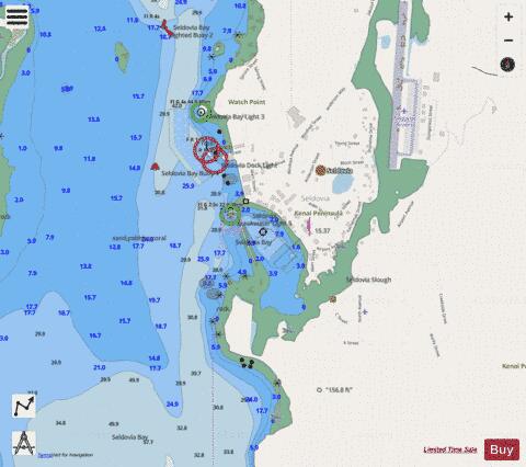 SELDOVIA HARBOR Marine Chart - Nautical Charts App - Streets