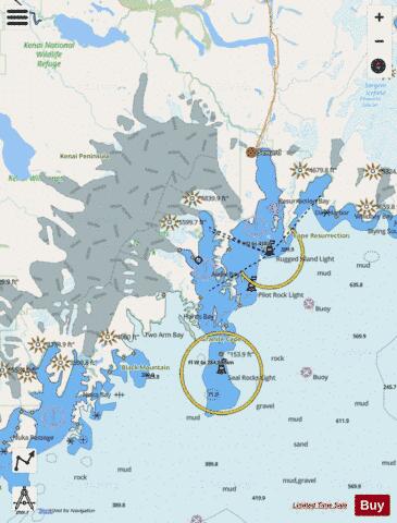 CAPE RESURRECTION TO TWO ARM BAY Marine Chart - Nautical Charts App - Streets