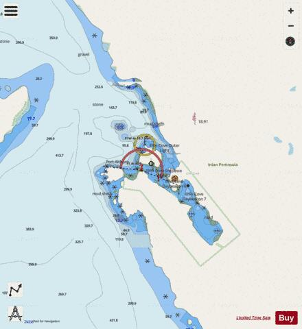 ELFIN COVE Marine Chart - Nautical Charts App - Streets