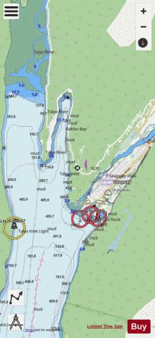 SKAGWAY AND NAHKU BAY Marine Chart - Nautical Charts App - Streets