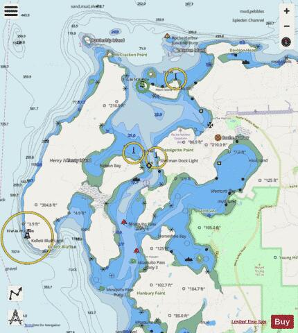 BELLINGHAM TO EVERETT INC SAN JUAN ISLANDS  ROCHE HARBOR Marine Chart - Nautical Charts App - Streets