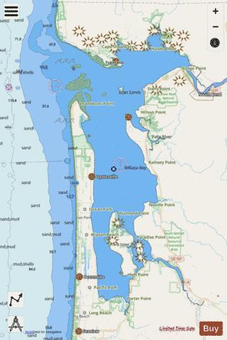 WILLAPA BAY Marine Chart - Nautical Charts App - Streets