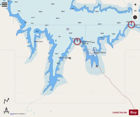 SALT SPRING BAY Marine Chart - Nautical Charts App - Streets