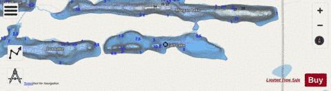 Carl Lake depth contour Map - i-Boating App - Streets