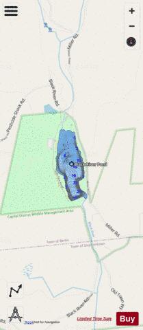 Black River Pond depth contour Map - i-Boating App - Streets