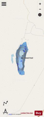 Bullhead Pond depth contour Map - i-Boating App - Streets