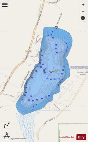 Cayuta Lake depth contour Map - i-Boating App - Streets