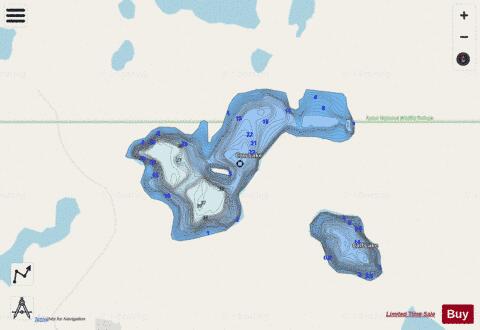 Cow Lake depth contour Map - i-Boating App - Streets