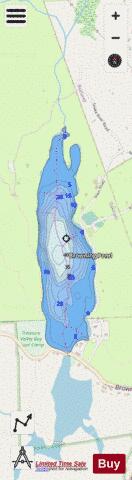 Browning Pond depth contour Map - i-Boating App - Streets