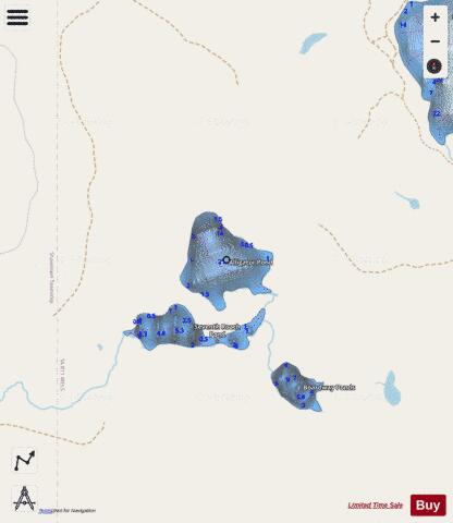 Alligator Pond depth contour Map - i-Boating App - Streets