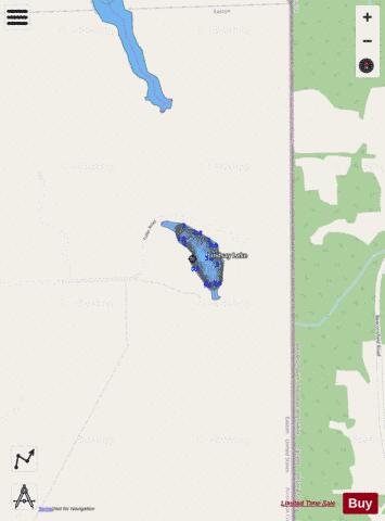 Lindsay Lake depth contour Map - i-Boating App - Streets