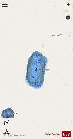 Pickerel Pond depth contour Map - i-Boating App - Streets
